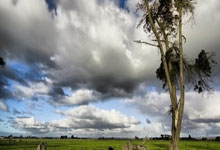 [CBA]常规赛1月6日：辽宁本钢VS浙江方兴渡 王岚嵚集锦.