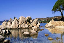 星空体育：NBA全明星单项赛：希罗加冕“三分王” 麦克朗扣篮三连冠.